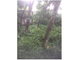 1 acer 4 cent plot for sale at near MC Road Nellimoottil Adoor, Pathanamthitta