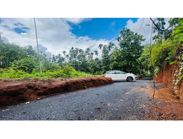 House plot for sale at near Meenagadi, Wayanad