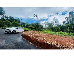 House plot for sale at near Meenagadi, Wayanad