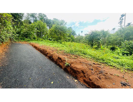 House plot for sale at near Meenagadi, Wayanad