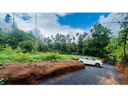 House plot for sale at near Meenagadi, Wayanad