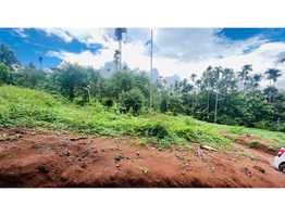 House plot for sale at near Meenagadi, Wayanad