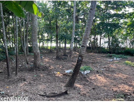 47 cent land with house for sale at mayyanad kollam.