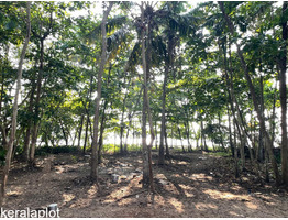 47 cent land with house for sale at mayyanad kollam.