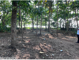 47 cent land with house for sale at mayyanad kollam.