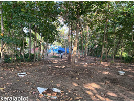 47 cent land with house for sale at mayyanad kollam.