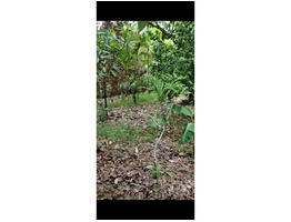 11 cent land for sale at near Mala,Madathumpady,Thrissur