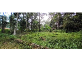 25.69 cent square plot for sale, near medical college, Ummalathoor, Kozhikode