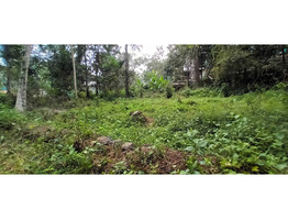 25.69 cent square plot for sale, near medical college, Ummalathoor, Kozhikode