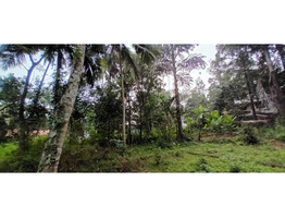 25.69 cent square plot for sale, near medical college, Ummalathoor, Kozhikode