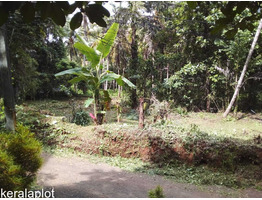 25.69 cent square plot for sale, near medical college, Ummalathoor, Kozhikode