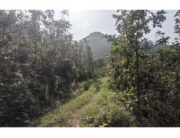 2 Acer 194 cent land for sale near Panathur, Kasaragod