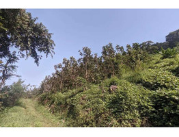 2 Acer 194 cent land for sale near Panathur, Kasaragod