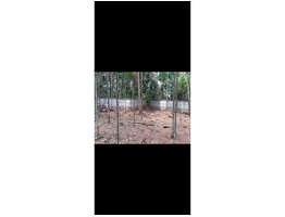 30 cent  Residential land for sale at near Edappal Junction ,Malappuram