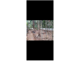 30 cent  Residential land for sale at near Edappal Junction ,Malappuram