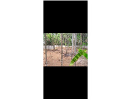 30 cent  Residential land for sale at near Edappal Junction ,Malappuram