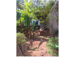 2 INDEPENDENT HOUSE with 15 cent land for sale at near Kanichira, Nileshwaram, Kasaragod