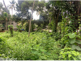 26 cent land for sale near Thiruvalla Pathanamthitta