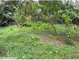 69.76 cent land with Residence Building for sale near Mutheri, Omassery, Kozhikode