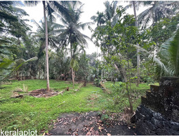 69.76 cent land with Residence Building for sale near Mutheri, Omassery, Kozhikode