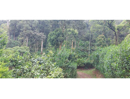 24 acre Land for sale at near Sankanpara Bus Stop , Munnar Highway,Thekkadi,Munnar