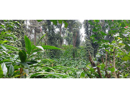 24 acre Land for sale at near Sankanpara Bus Stop , Munnar Highway,Thekkadi,Munnar