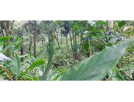 24 acre Land for sale at near Sankanpara Bus Stop , Munnar Highway,Thekkadi,Munnar