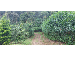 24 acre Land for sale at near Sankanpara Bus Stop , Munnar Highway,Thekkadi,Munnar