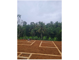 80 cent land for sale at near Sreekandapuram, Kannur