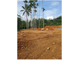 80 cent land for sale at near Sreekandapuram, Kannur