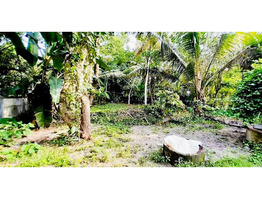 20.5 cent land with an old house for sale at Thathampally, Alappuzha