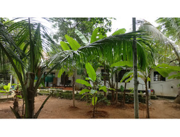 15 cent land with house  for sale  at KUmaranalloor