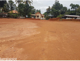 99 cent Residential Land for sale at Kottayam Kollad