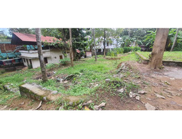 6.5 cent land for sale at kollam,Chathanoor