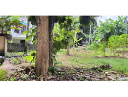 6.5 cent land for sale at kollam,Chathanoor