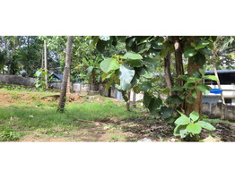 6.5 cent land for sale at kollam,Chathanoor