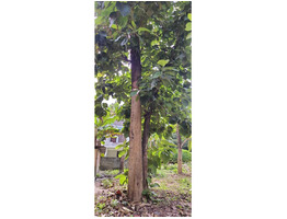 6.5 cent land for sale at kollam,Chathanoor