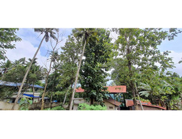 6.5 cent land for sale at kollam,Chathanoor