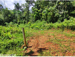 1 Acre land for sale at Nedumkunnam Town