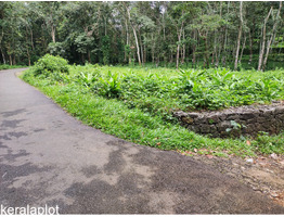 25 cent land   for Lease  near by  Nedumkunnam Town