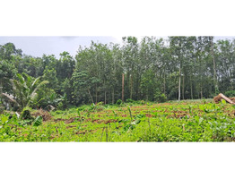 25 cent land   for Sale Thodupuzha,idukki District