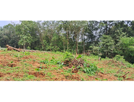 25 cent land   for Sale Thodupuzha,idukki District