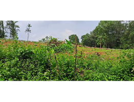 25 cent land   for Sale Thodupuzha,idukki District