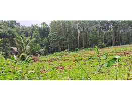 25 cent land   for Sale Thodupuzha,idukki District