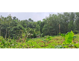 25 cent land   for Sale Thodupuzha,idukki District