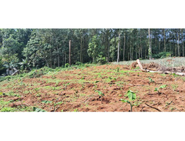 25 cent land   for Sale Thodupuzha,idukki District