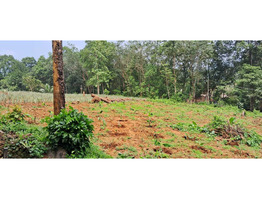 25 cent land   for Sale Thodupuzha,idukki District