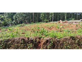 25 cent land   for Sale Thodupuzha,idukki District