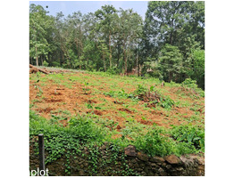 25 cent land   for Sale Thodupuzha,idukki District