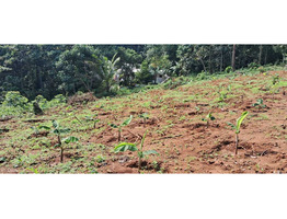 25 cent land   for Sale Thodupuzha,idukki District